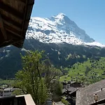 酒店 Sonnenberg 格林德瓦