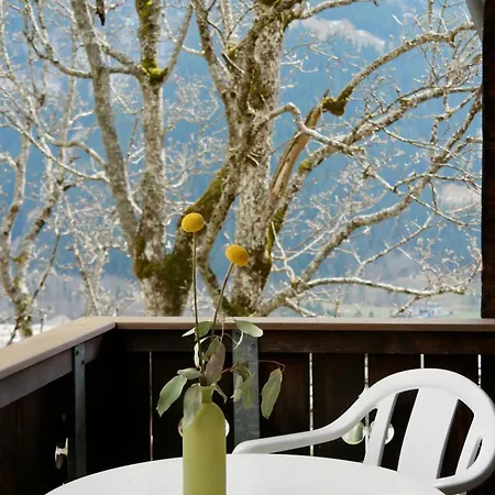 Sonnenberg Grindelwald