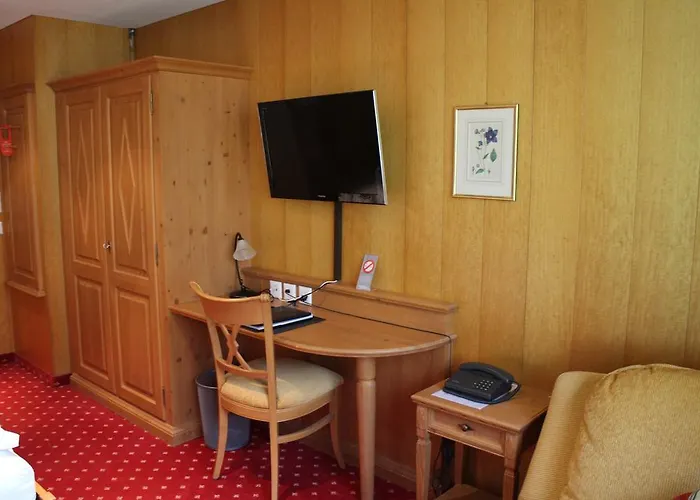 فندق سونينبيرج جريندلوالد