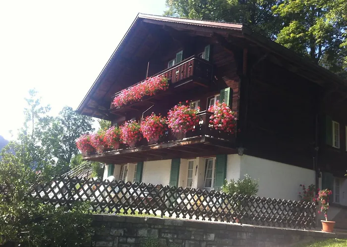 فندق سونينبيرج جريندلوالد