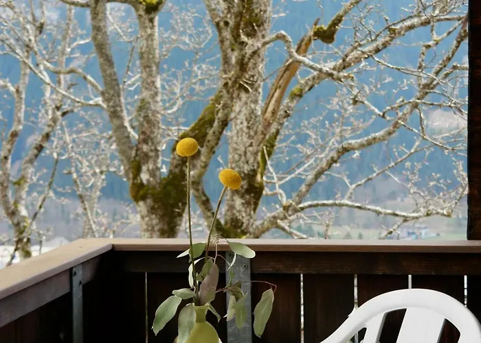 سونينبيرج جريندلوالد