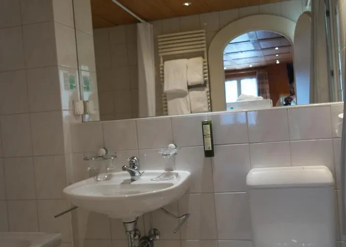 سونينبيرج 3* جريندلوالد