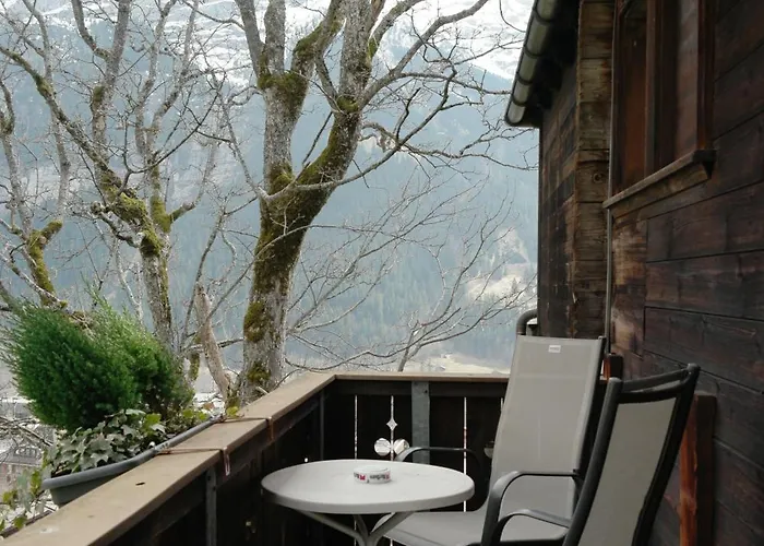 سونينبيرج 3*