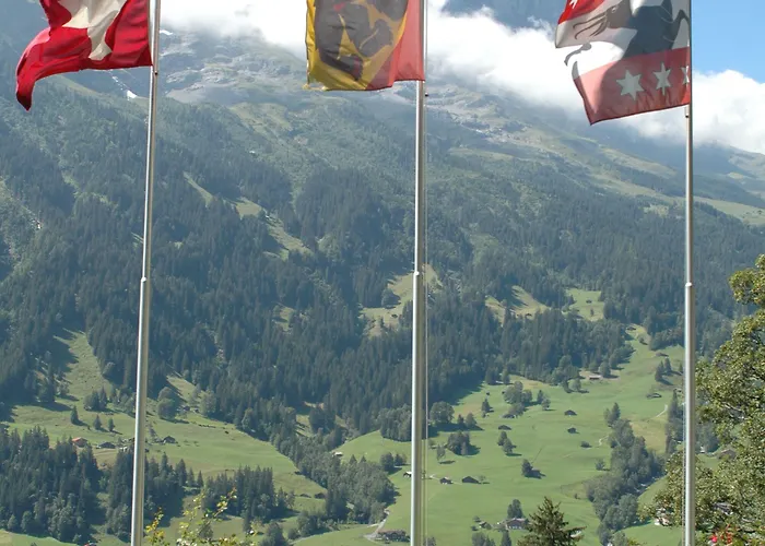 سونينبيرج فندق جريندلوالد