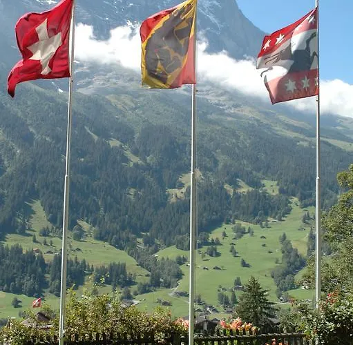 سونينبيرج فندق جريندلوالد