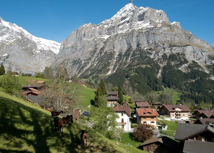 Sonnenberg Grindelwald