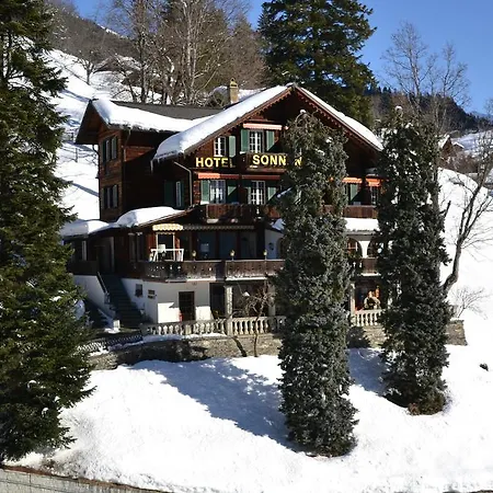 Отель Sonnenberg